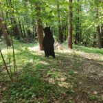 IMG_20230602_104529