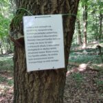 IMG_20230602_111352