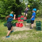 IMG_20230602_144616