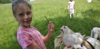 Klasy drugie na wycieczce w „Bazylu”