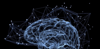 Europejski Dzień Mózgu