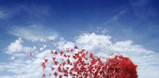 „ODDAJ KSIĄŻKĘ DLA RODAKA”