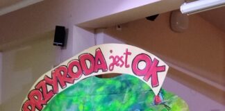 Przyroda jest OK