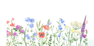 Życzenia z okazji Dnia Edukacji Narodowej.