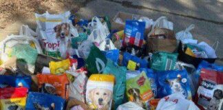 Sprawozdanie ze zbiórki karmy dla schroniska.