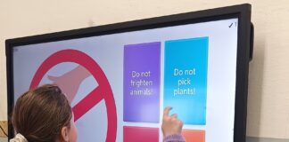 🌍 CLIL w klasie 3a – nowoczesne nauczanie w praktyce