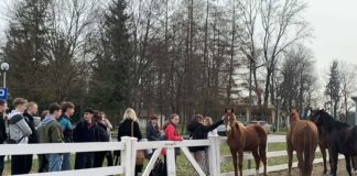 Dni otwarte szkoły ponadpodstawowej ZSCKR w Nowosielcach